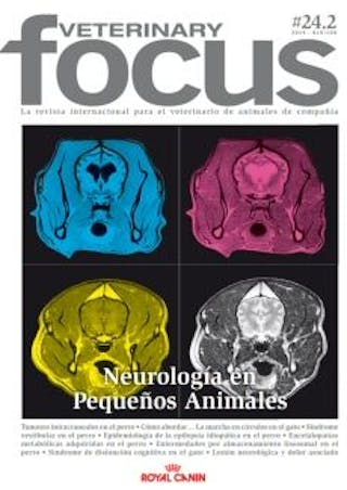 Neurología en Pequeños Animales